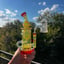 Small image 0