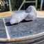 Small image 7