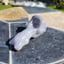 Small image 8