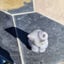 Small image 9