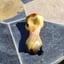 Small image 7