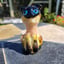 Small image 6