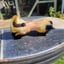 Small image 9