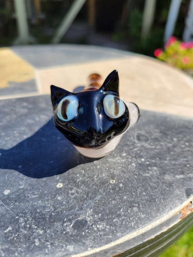 Preview pic of Siamese kitty 2
