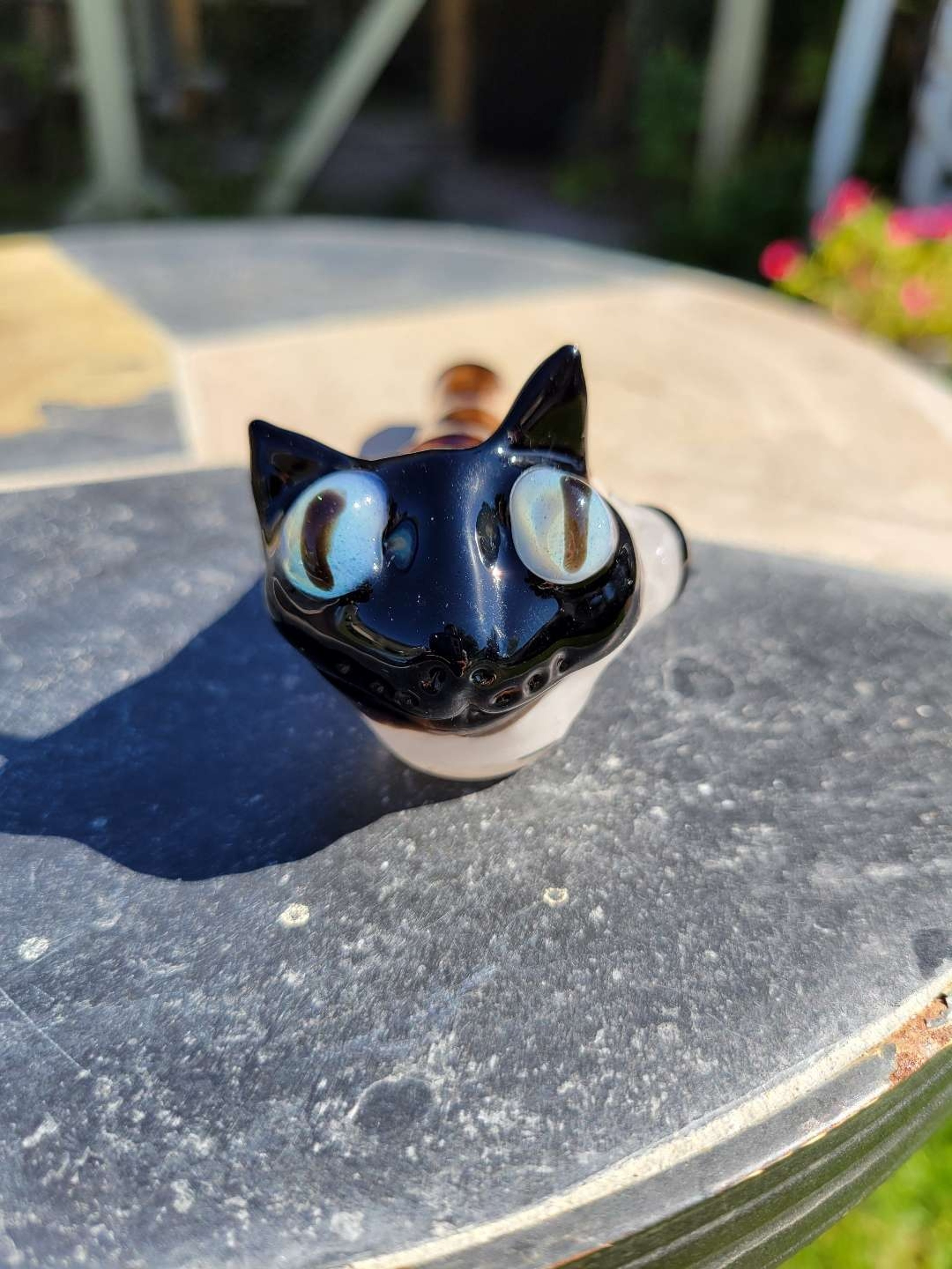 Preview pic of Siamese kitty 2