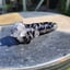 Small image 5