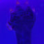 Small image 8