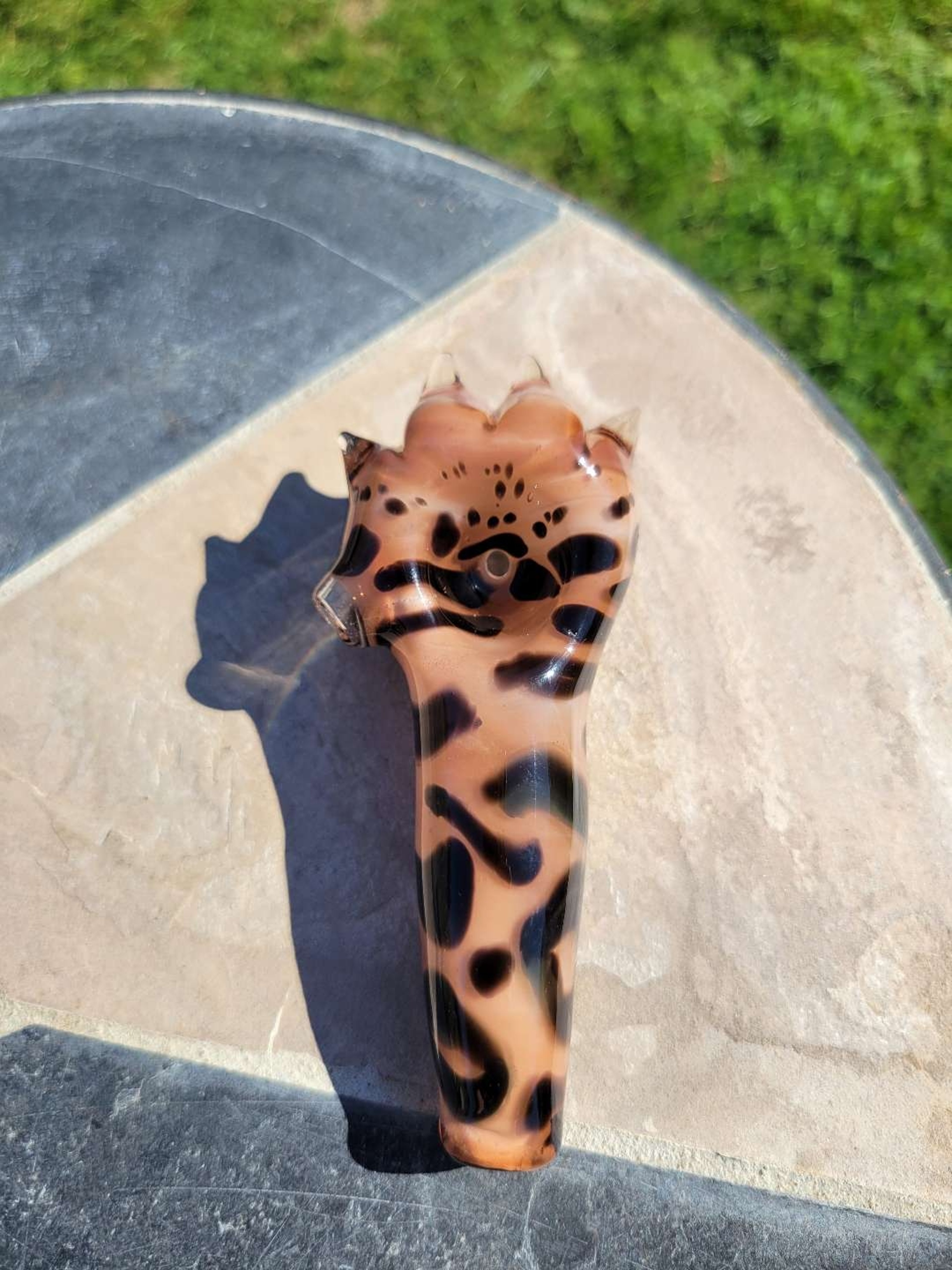 Preview pic of Bengal kitty paw
