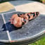 Small image 5