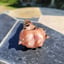 Small image 6