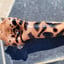 Small image 8