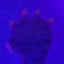 Small image 9
