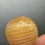 Small image 7