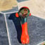 Small image 4