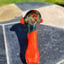 Small image 5