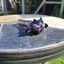 Small image 5