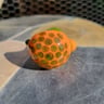 Small image 1