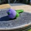 Small image 4