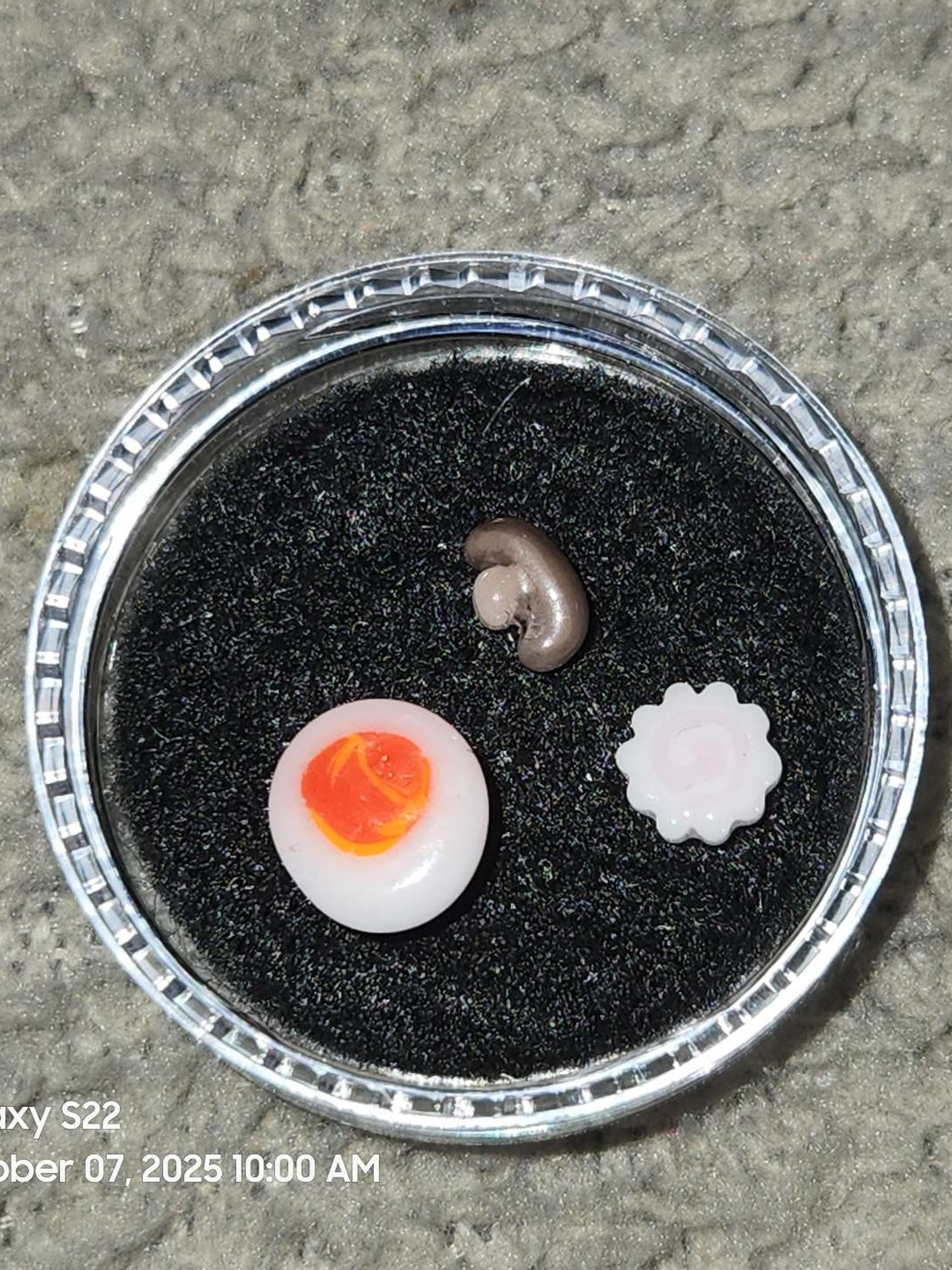 Dojo glass 🍜 terp pearls image 0