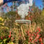 Small image 6