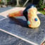 Small image 8