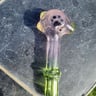 Small image 6