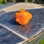 Small image 4