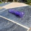 Small image 6