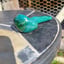Small image 6