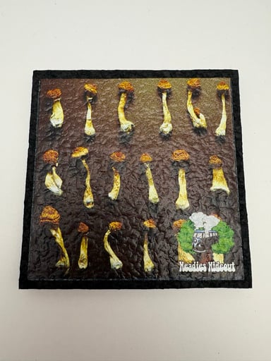Preview pic of Headies Hideout Moodmat
