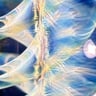 Small image 6