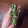Small image 4