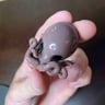 Small image 1