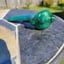 Small image 1