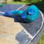 Small image 3