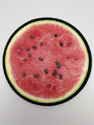 Preview pic of Watermelon Moodmat