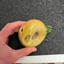 Small image 4