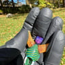 Small image 4