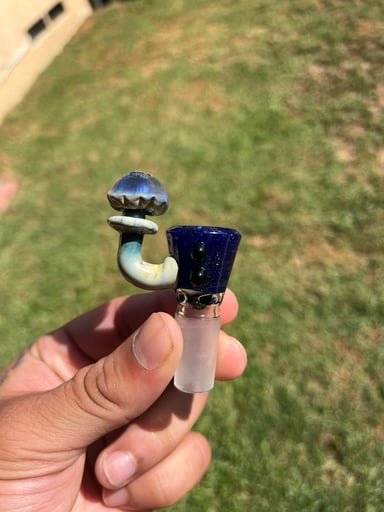 Preview pic of Blue Blizzard Mushroom Slide