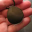 Small image 9