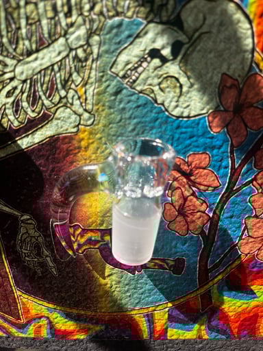 Preview pic of 4-Hole Horned Slide with Opal