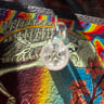 Small image 2