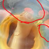 Small image 5
