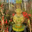 Small image 4