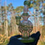 Small image 8