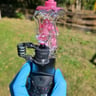 Small image 2