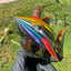 Small image 4