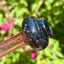 Small image 7