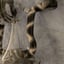 Small image 8