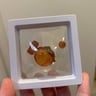 Small image 0